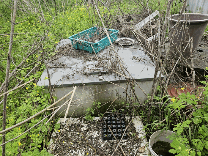 제시외관정(ㅅ)