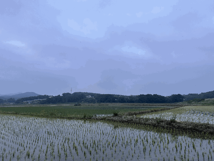 기호4토지 전경