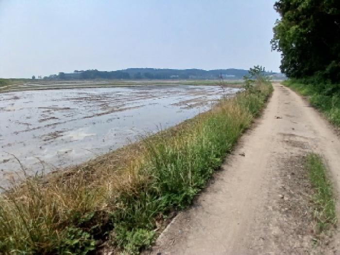 목록1 (농로 포함)