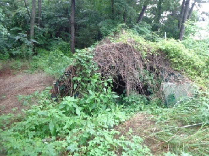 [목록 3] 남동쪽 지상에 있는 제시외 하우스 모습