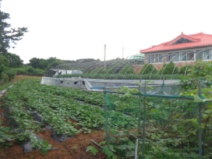 [목록 1] 북동쪽에서 바라본 모습