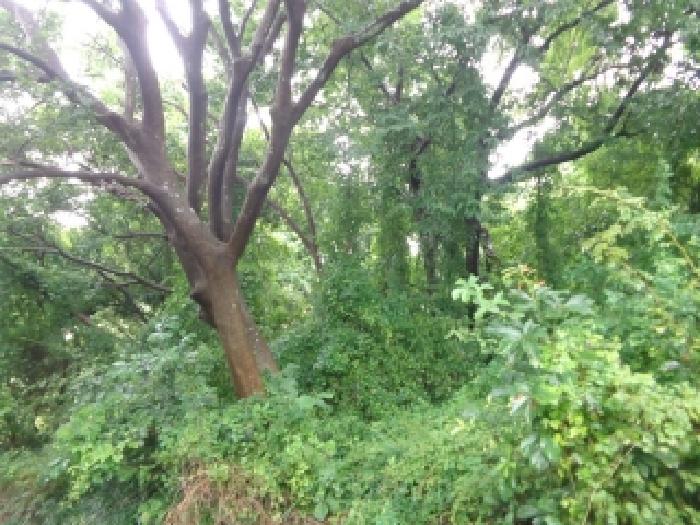 [목록 3] 내부 모습