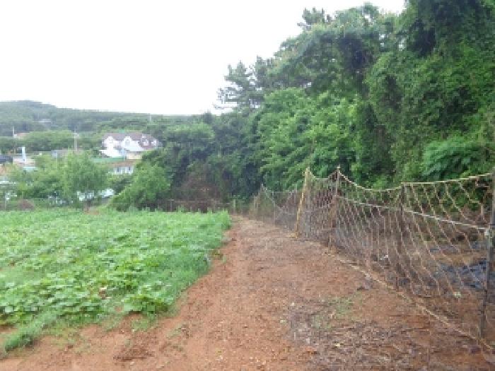 [목록 3] 북동쪽 가장자리 지상의 모습
