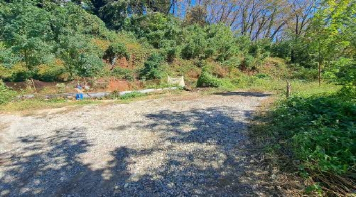 본건 토지 내부 전경(서쪽)