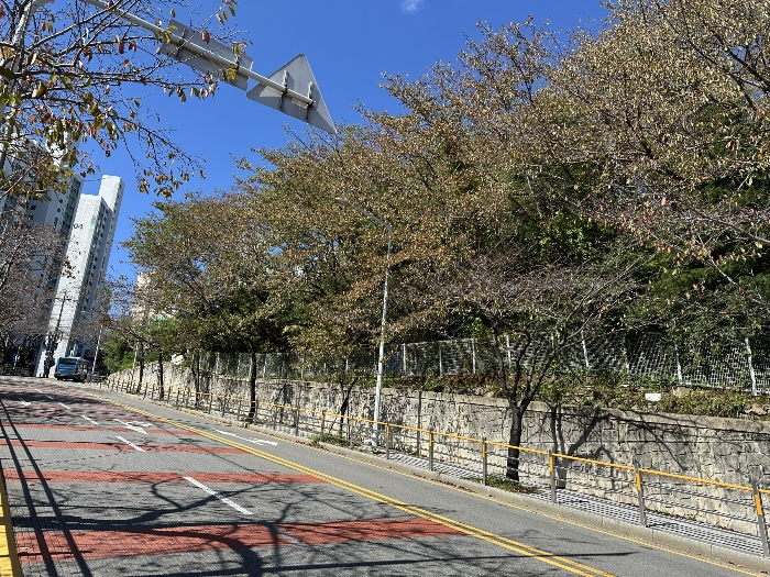 본건 전경