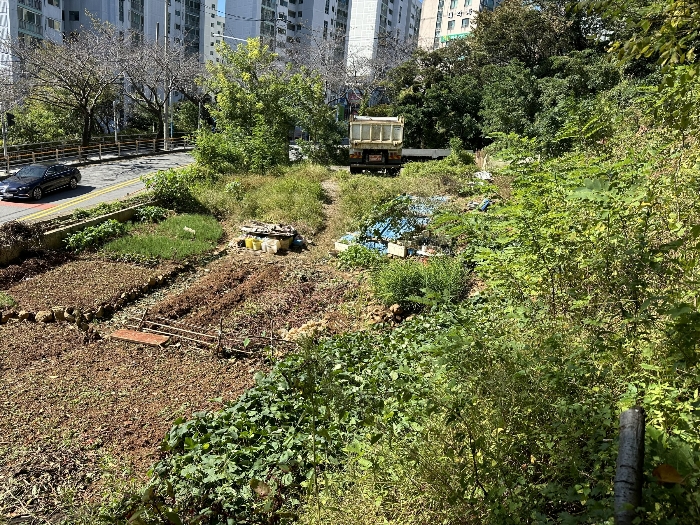 본건 전경