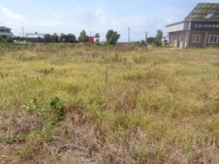 소재지6(동일리