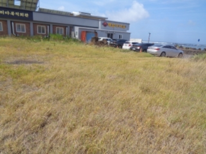 소재지3(동일리