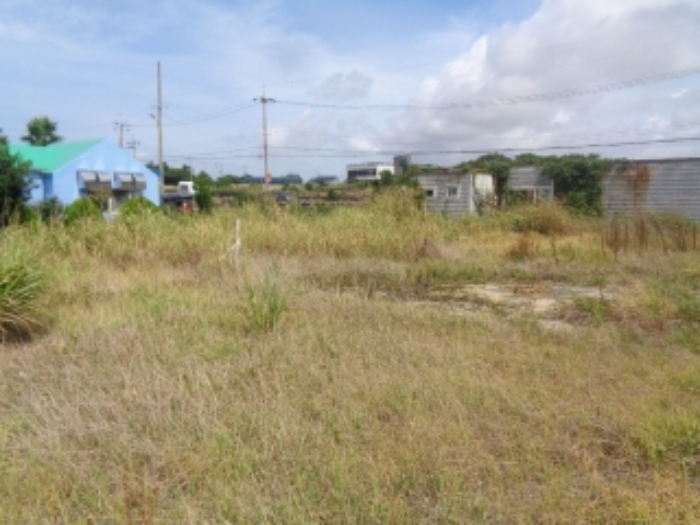 소재지4(동일리