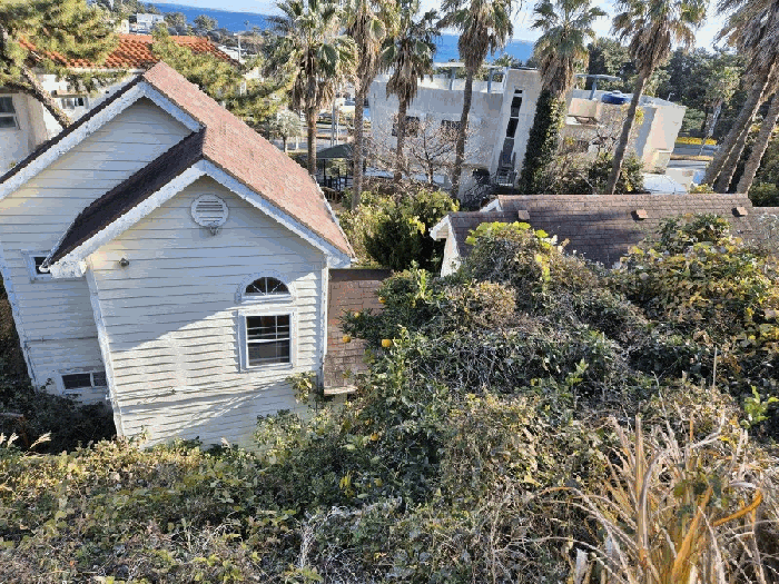 일련번호(3,5), 조경수