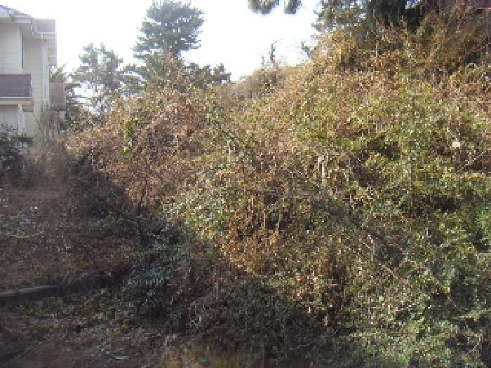 소재지3(대포동 2065) 전경 사진