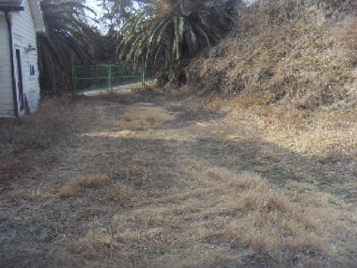 소재지3(대포동 2065) 전경 사진