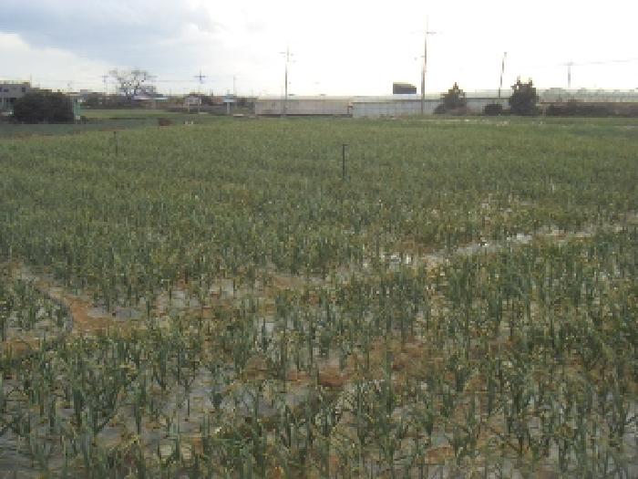 소재지6(고산리