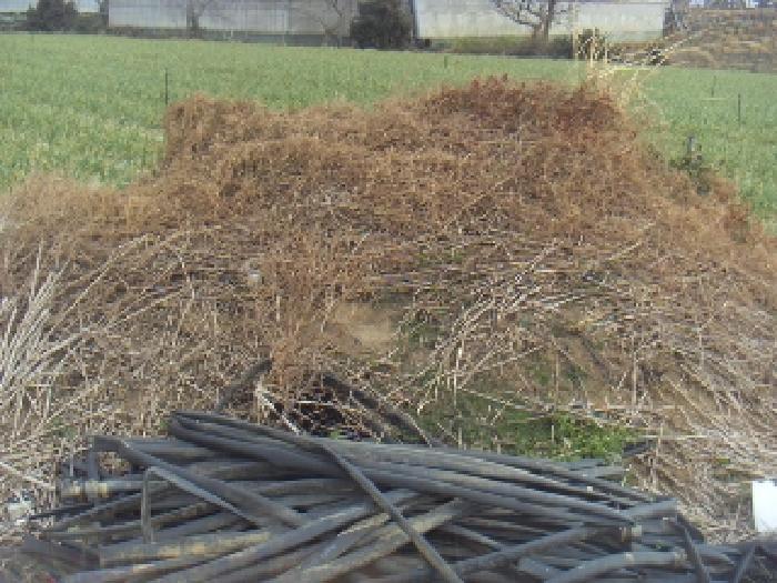 소재지1(고산리