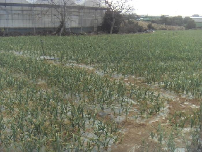 소재지2(고산리