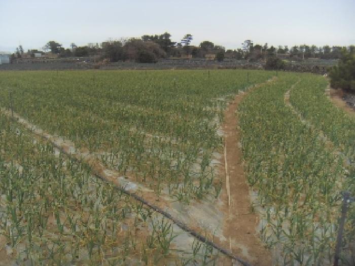 소재지2(고산리