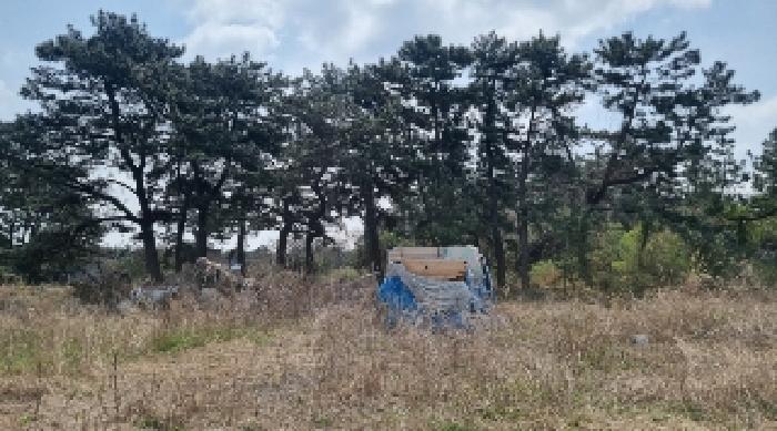 소재지1(함덕리 72-184) 전경3