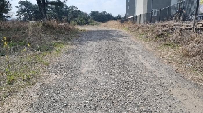 소재지1(함덕리 72-184) 전경1