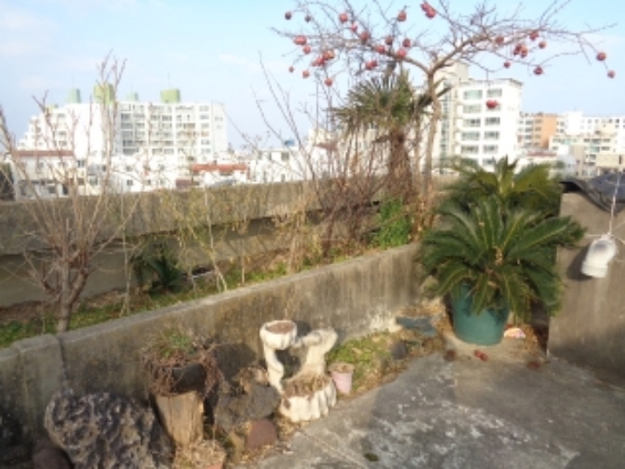 - 소재지 2(광양2길 14) 제시 건물 옥상 화단 및 수목