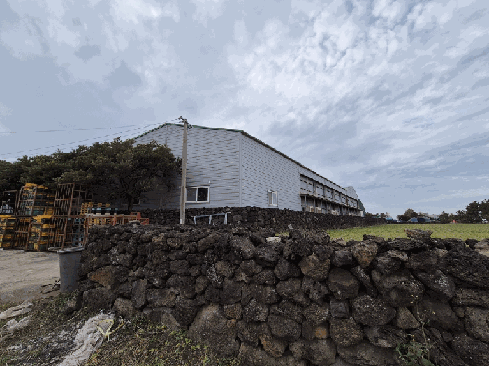 일련번호(6) 현황