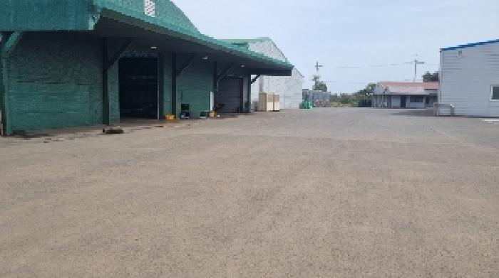 소재지2(하도리 1046-12) 전경1