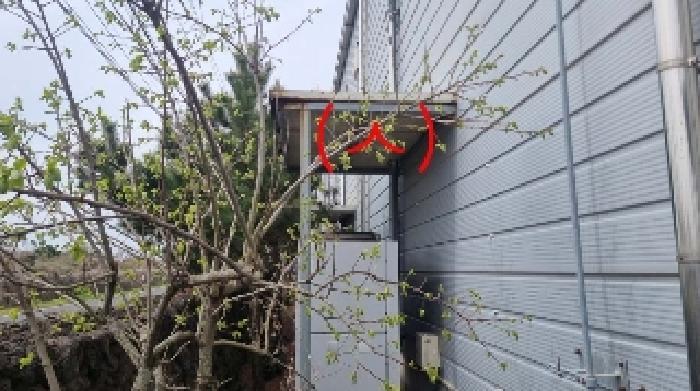 소재지1(하도리 1046-11) 지상에 소재한 제시외 건물(ㅅ)