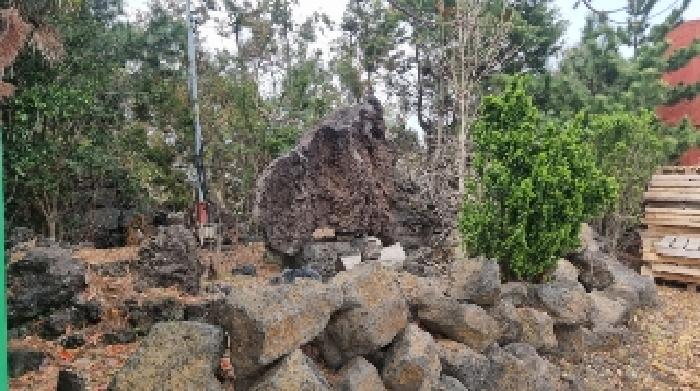 소재지7(하도리 1046-13) 전경2