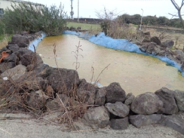 - 소재지 1(이호일동 328-1) 지상 소재 연못