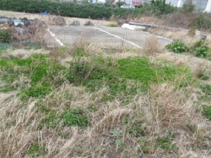 - 소재지 1(이호일동 328-1) 지상 전경