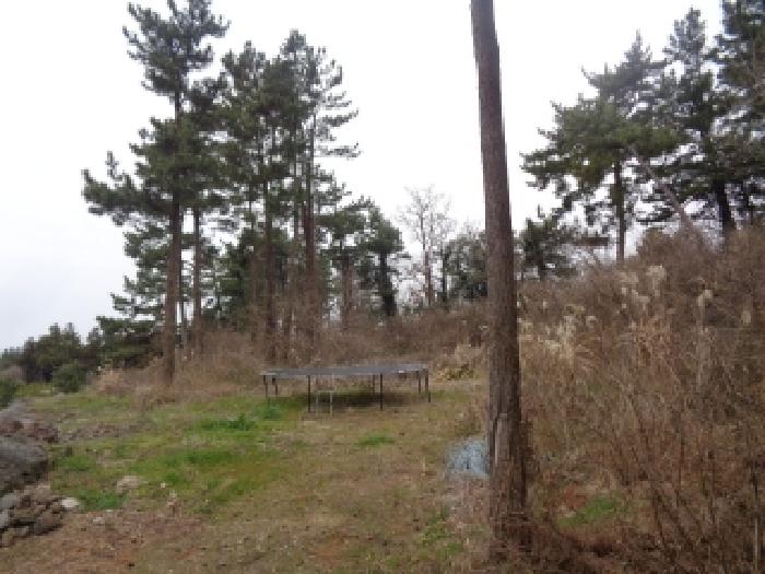 소재지 1.(덕수리 1548) 전경