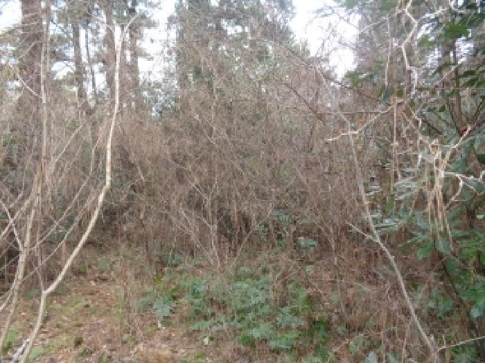 소재지 2.(덕수리 1549) 전경