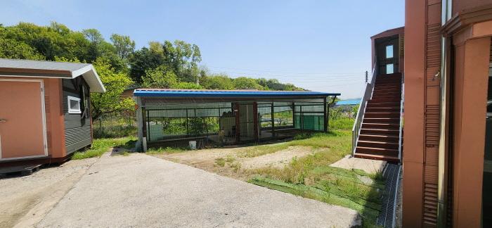 제시외 견사1. 전면