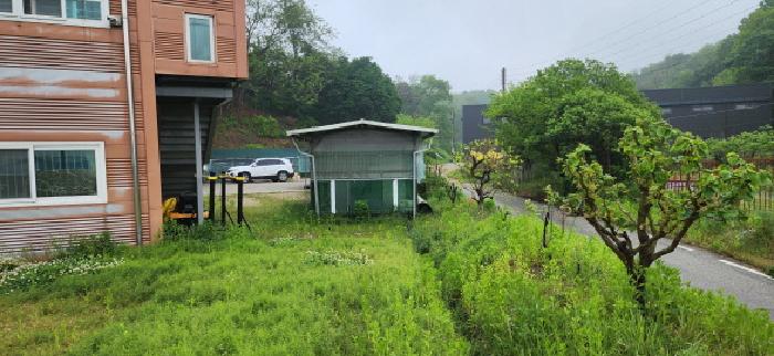 제시외 견사1. 측면