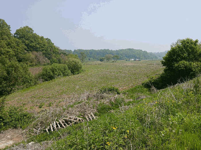 [기호 6 토지 전경]