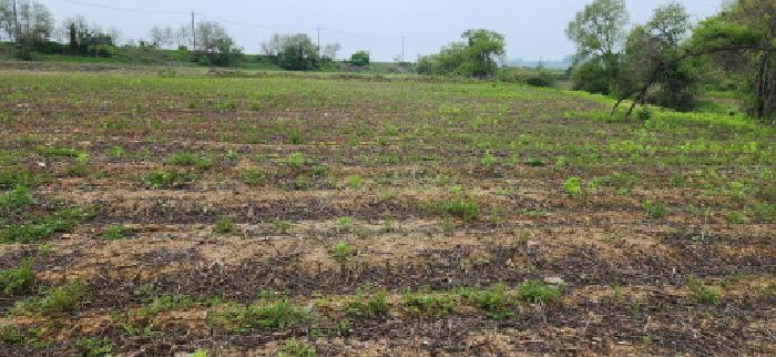 목록 4.5.전경(1)