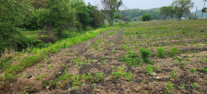 목록 4.5.전경(1)