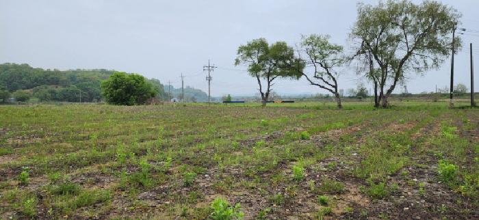 목록 4.5.전경(1)