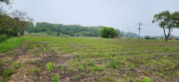 목록 4.5.전경(1)