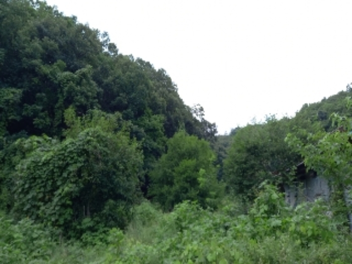 목록 1.,2., 8., 24., 25., 28., 29. 및 목록 15. 축사 등(잡풀이 무성하여 접근이 어려움)  