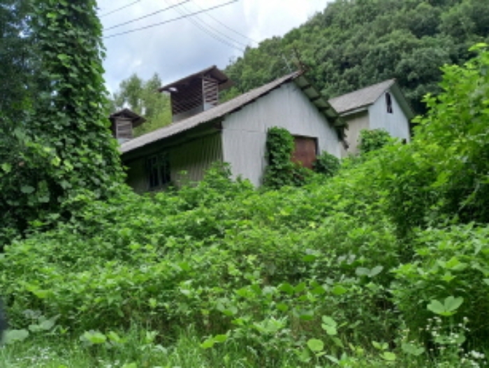 목록 23., 27. 토지 및 목록 18., 20., 21. 단층 중추계사 등