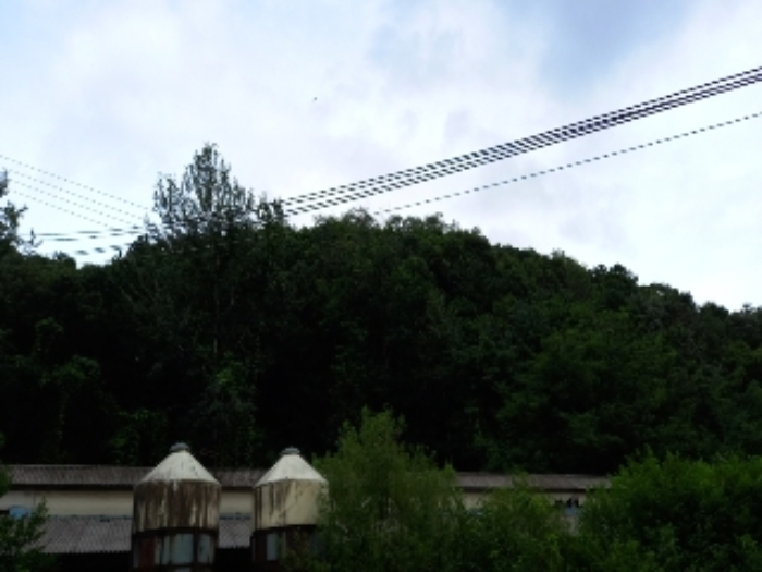 목록 1.,2., 8., 24., 25., 28., 29. 및 목록 15. 축사 등(잡풀이 무성하여 접근이 어려움)  