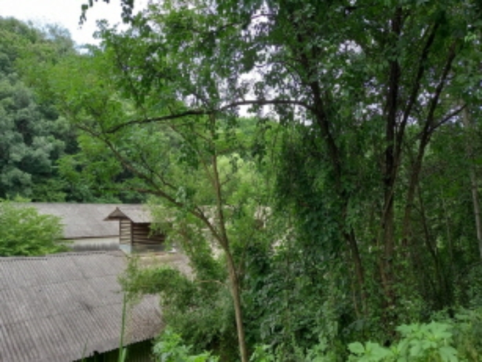 목록 23., 27. 토지 및 목록 18., 20., 21.단층 중추계사 등