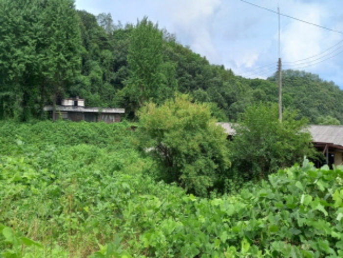 목록 22. 및 목록 19. 기숙사