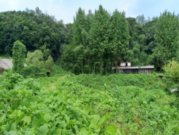 목록 22. 및 목록 19. 기숙사