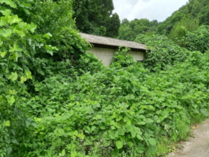 목록 23., 27. 및 목록 18., 20., 21.단층 중추계사 등