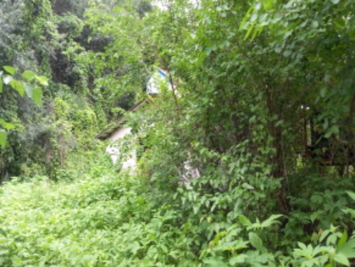 목록 1.,2., 8., 24., 25., 28., 29. 및 목록 15. 축사 등(잡풀이 무성하여 접근이 어려움)  