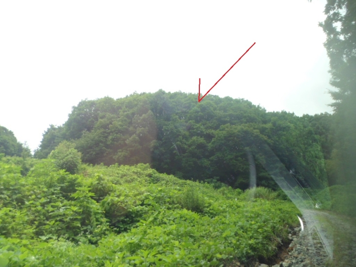 일련번호(7,11,12)