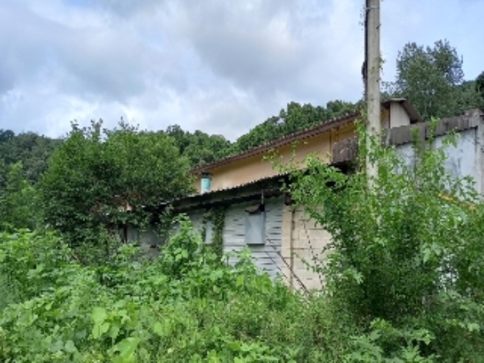 목록 1.,2., 8., 24., 25., 28., 29. 및 목록 15. 축사 등(잡풀이 무성하여 접근이 어려움)  