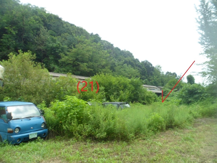 일련번호(21,24,25)