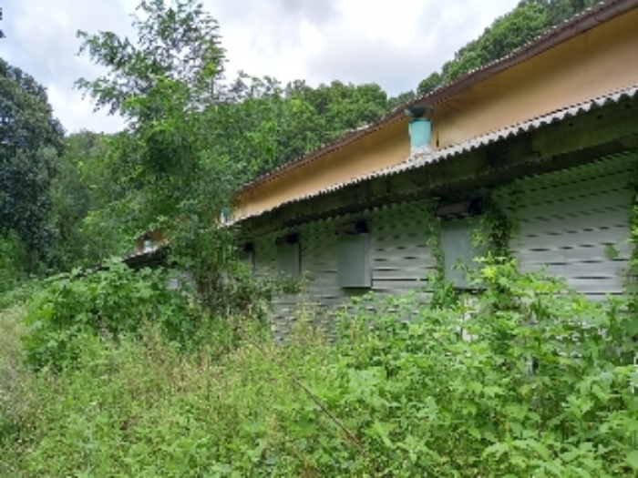 목록 1.,2., 8., 24., 25., 28., 29. 및 목록 15. 축사 등(잡풀이 무성하여 접근이 어려움)  